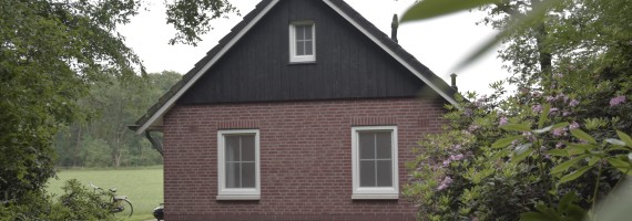 De Leeuwerik